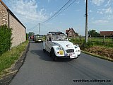 Zandlemig Vlaanderen